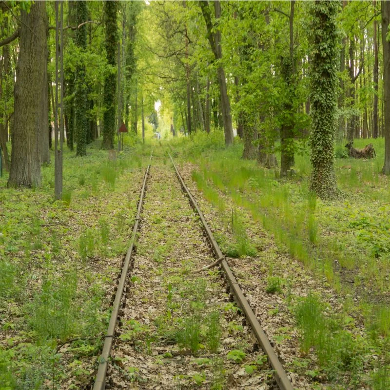 Jak trafić na boczny tor_kariera i rozwój