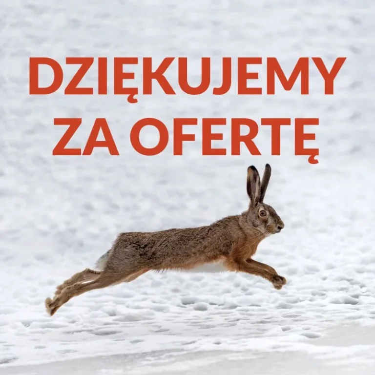 Dziękujemy za ofertę. - Czym jest zapytanie na zająca?