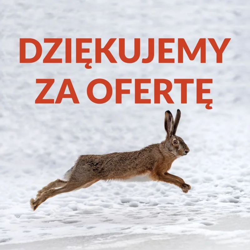 Dziękujemy za ofertę. - Czym jest zapytanie na zająca?