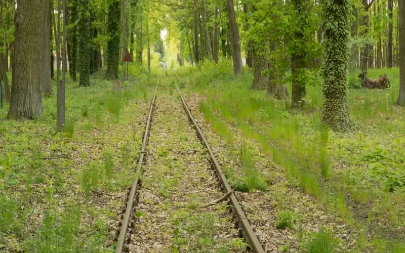 Jak trafić na boczny tor_kariera i rozwój